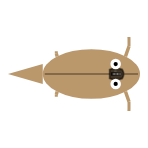 Appendage Length: Front Long